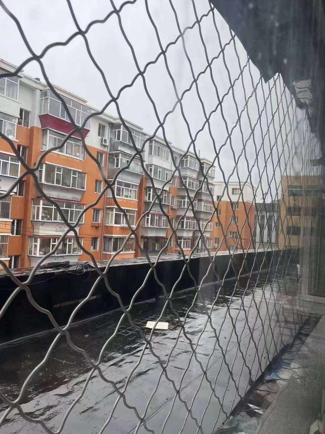 新鹤A区