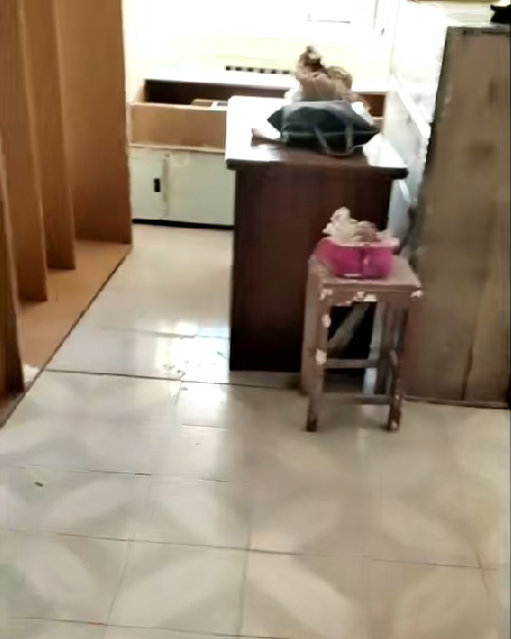 内环路电业大楼对面