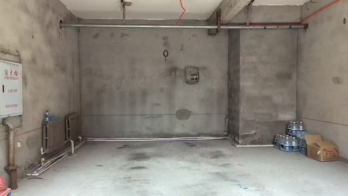 中央蓝钻车库